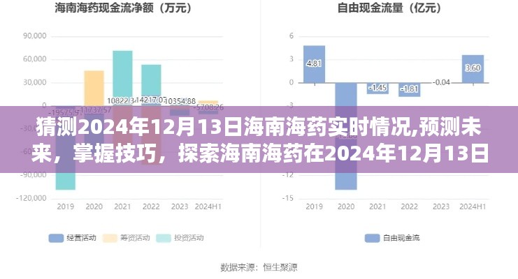 探索海南海药未来，预测与技巧，揭秘2024年12月13日实时情况