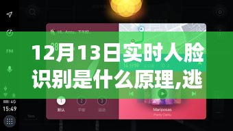 12月13日实时人脸识别探寻之旅，自然美景中的奥秘与内心平静的旅程