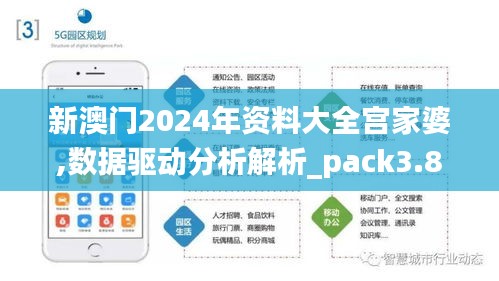 新澳门2024年资料大全宫家婆,数据驱动分析解析_pack3.817