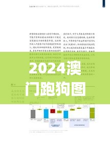 2024澳门跑狗图正版高清图片大全,数据驱动分析决策_创新版1.225