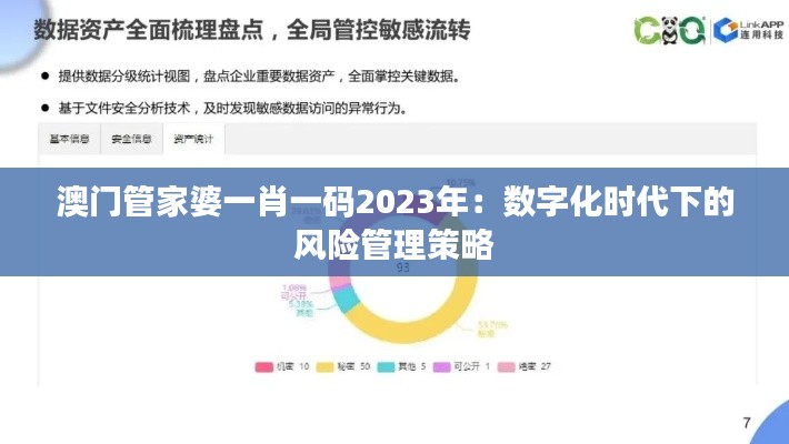 澳门管家婆一肖一码2023年：数字化时代下的风险管理策略