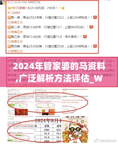 2024年管家婆的马资料,广泛解析方法评估_Windows16.288