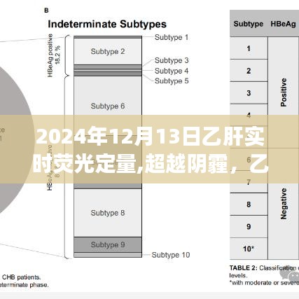 超越阴霾，乙肝实时荧光定量背后的励志故事与成就感的飞跃之路