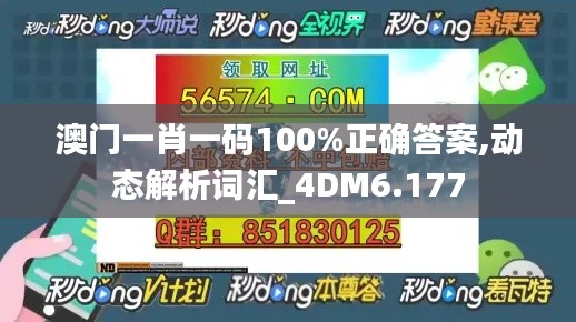 澳门一肖一码100%正确答案,动态解析词汇_4DM6.177