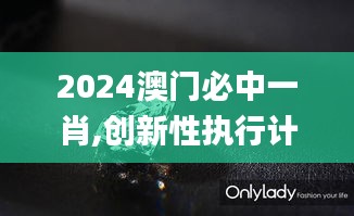 2024澳门必中一肖,创新性执行计划_钻石版18.131