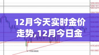 洞悉黄金市场机遇，今日金价走势分析与实时动态观察