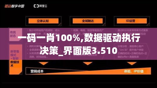 一码一肖100%,数据驱动执行决策_界面版3.510