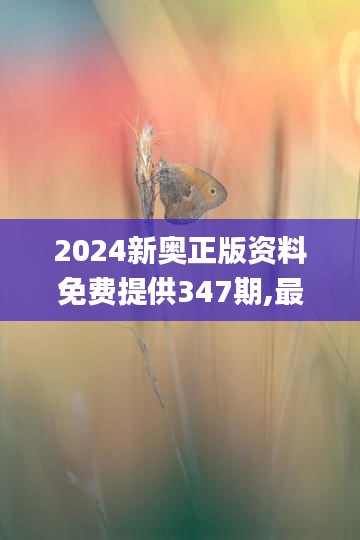 2024新奥正版资料免费提供347期,最新动态方案_黄金版8.482