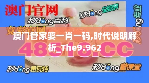 澳门管家婆一肖一码,时代说明解析_The9.962