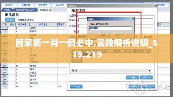 管家婆一肖一码必中,实践解析说明_S19.219