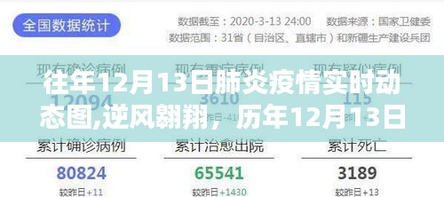 历年12月13日肺炎疫情变迁与成长之路，逆风翱翔的实时动态图回顾