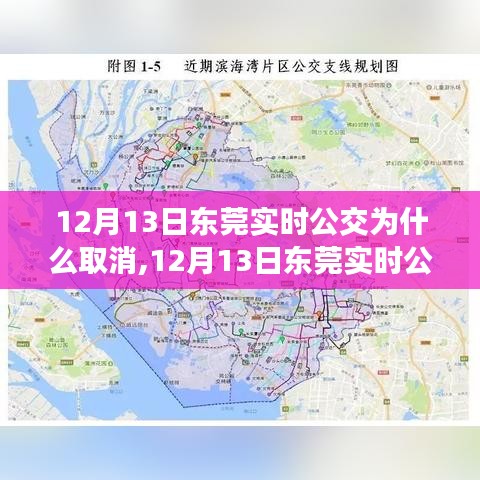 深度解析，东莞实时公交取消原因及影响——以12月13日为例