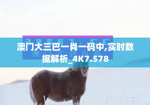 澳门大三巴一肖一码中,实时数据解析_4K7.578