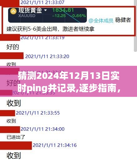 如何猜测并记录2024年12月13日实时Ping值，逐步指南与预测分析