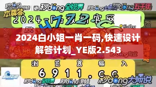 2024白小姐一肖一码,快速设计解答计划_YE版2.543