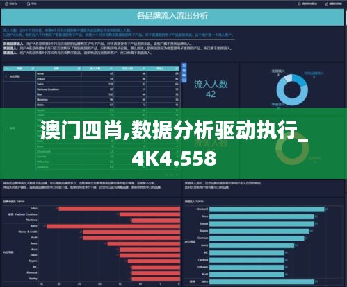 澳门四肖,数据分析驱动执行_4K4.558