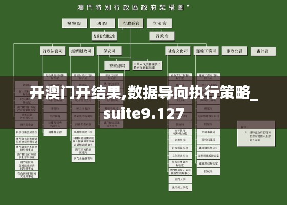 开澳门开结果,数据导向执行策略_suite9.127