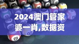 2024澳门管家婆一肖,数据资料解释定义_FHD版9.266