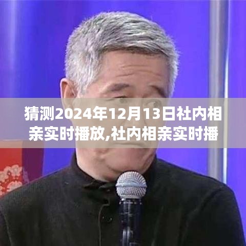 2024年12月13日社内相亲实时播放，在线观看与追踪精彩节目指南