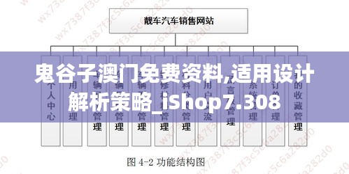 鬼谷子澳门免费资料,适用设计解析策略_iShop7.308