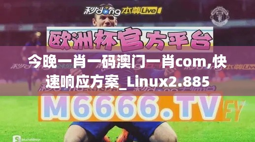 今晚一肖一码澳门一肖com,快速响应方案_Linux2.885