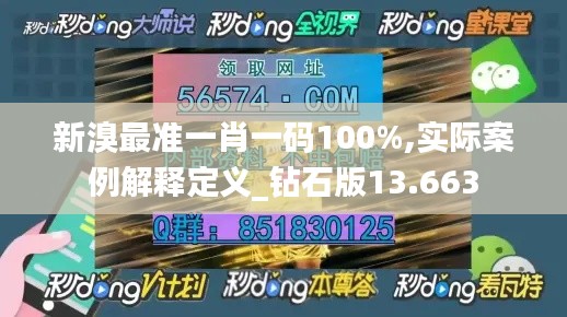 新溴最准一肖一码100%,实际案例解释定义_钻石版13.663