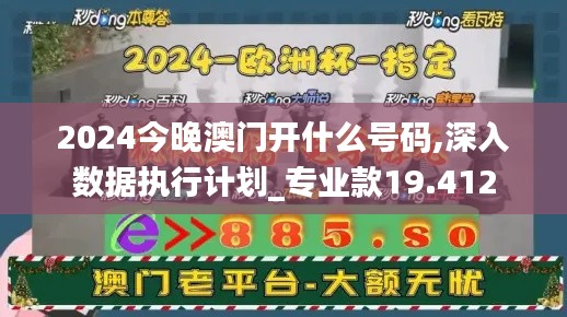 2024今晚澳门开什么号码,深入数据执行计划_专业款19.412