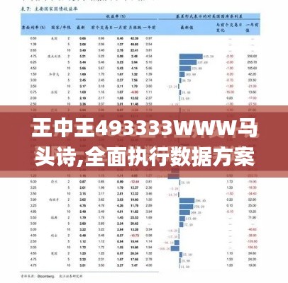 王中王493333WWW马头诗,全面执行数据方案_专业版10.282