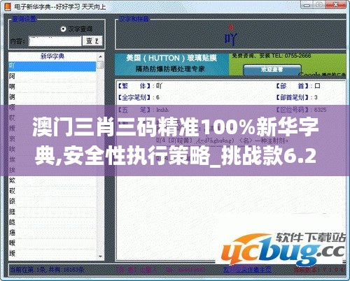 澳门三肖三码精准100%新华字典,安全性执行策略_挑战款6.207