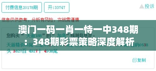 澳门一码一肖一恃一中348期：348期彩票策略深度解析