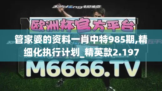 管家婆的资料一肖中特985期,精细化执行计划_精英款2.197