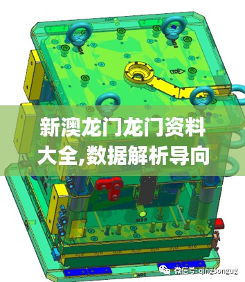 新澳龙门龙门资料大全,数据解析导向设计_经典版5.617