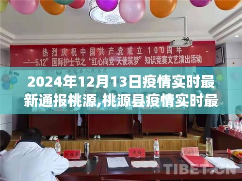 桃源县疫情最新进展报告（2024年12月13日），疫情走向与应对策略实时通报