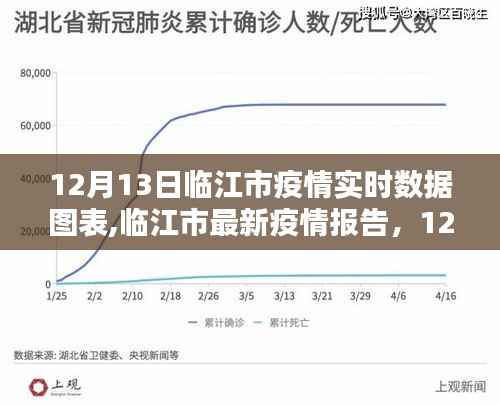 临江市最新疫情报告及实时数据图表深度解析（12月13日）