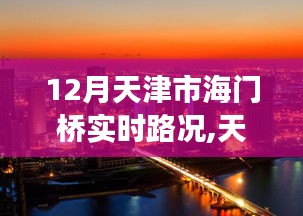 2024年12月13日 第8页