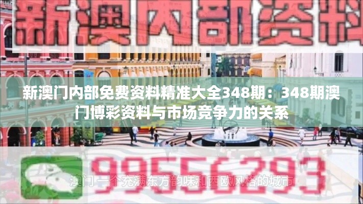 新澳门内部免费资料精准大全348期：348期澳门博彩资料与市场竞争力的关系