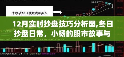 小杨的冬日股市抄盘之旅，故事、技巧与温馨时光