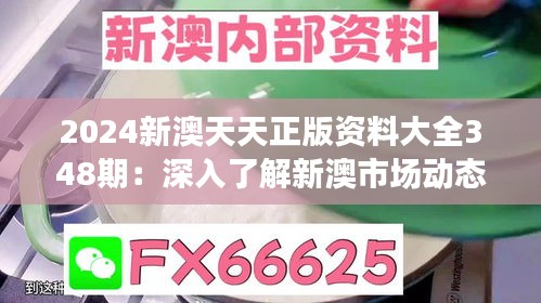 2024新澳天天正版资料大全348期：深入了解新澳市场动态