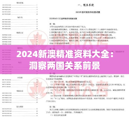 2024新澳精准资料大全：洞察两国关系前景