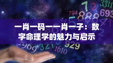 一肖一码一一肖一子：数字命理学的魅力与启示