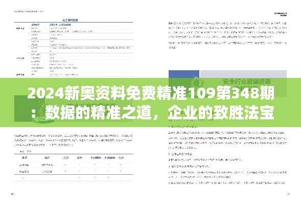 2024新奥资料免费精准109第348期：数据的精准之道，企业的致胜法宝