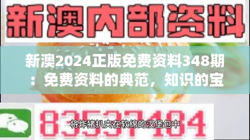 新澳2024正版免费资料348期：免费资料的典范，知识的宝库