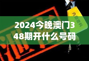 2024今晚澳门348期开什么号码，社交互动：赌桌背后的人际关系学