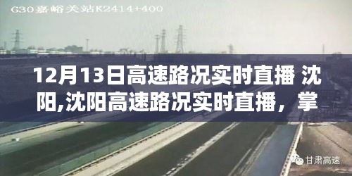 沈阳高速路况实时直播，轻松掌握路况信息，出行指南适合初学者与进阶用户