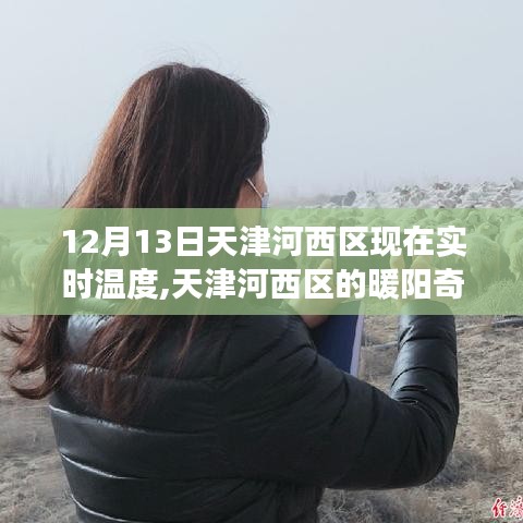 天津河西区暖阳下的欢乐聚会，实时温度与奇遇的交织