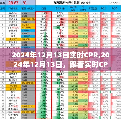 实时CPR带你探索自然美景，寻找内心平和之旅（2024年12月13日）