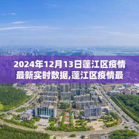 蓬江区疫情最新实时数据报告（深度分析，截至2024年12月13日）