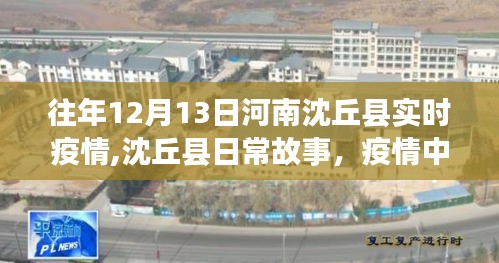 河南沈丘县疫情下的温情与友情纪实故事，日常故事与实时疫情回顾