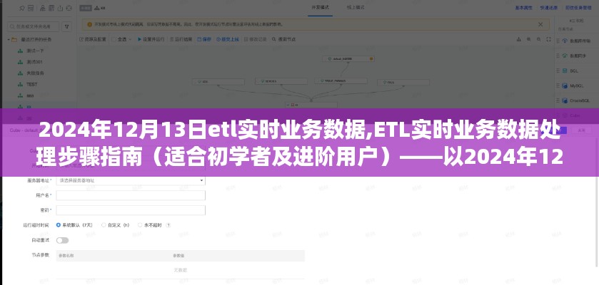 2024年12月13日ETL实时业务数据处理指南，从初学者到进阶用户的处理步骤
