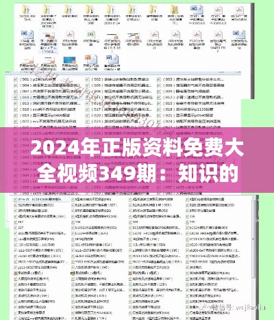 2024年正版资料免费大全视频349期：知识的新纪元，学习的无界限